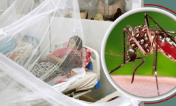 ডেঙ্গুর প্রকোপ বাড়ছেই, ২৪ ঘণ্টায় ৭ মৃত্যু