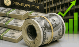 সেপ্টেম্বরের ২১ দিনেই রেমিট্যান্স ২৫ হাজার ৩৭৫ কোটি টাকা